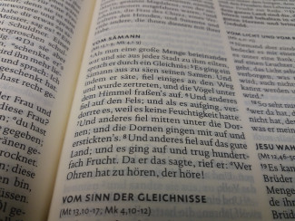 Bibeltext Lukas 8 (Lutherbibel 2017)