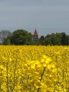 Pilgern am Pfingstmontag an der Wallburg