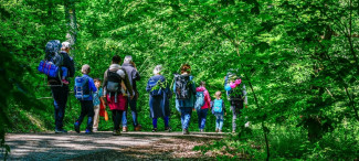 St. Matthäus-Pilgergruppe im Wald