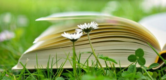 Buch auf Wiese