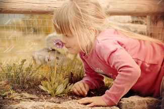 Kind riecht an Blume