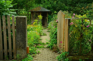 Garten mit Zaun