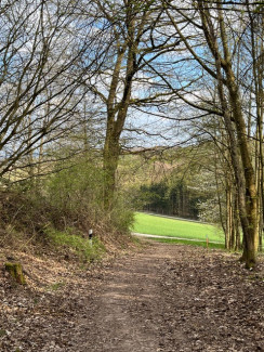 Pilgern Wald und Wiese