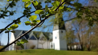 Kirche hinter Baum