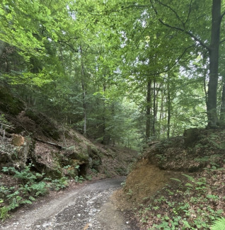 Schlangenweg
