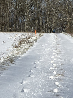 Spuren im Schnee (Pilgern)