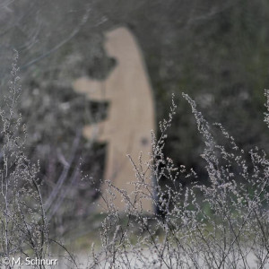 Osterbegegnungen auf der ERBA-Insel