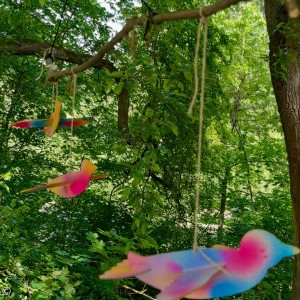 Die bunten Konfi-Vögel 
