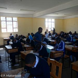 Ailanga: Prüfungen im Klassenzimmer